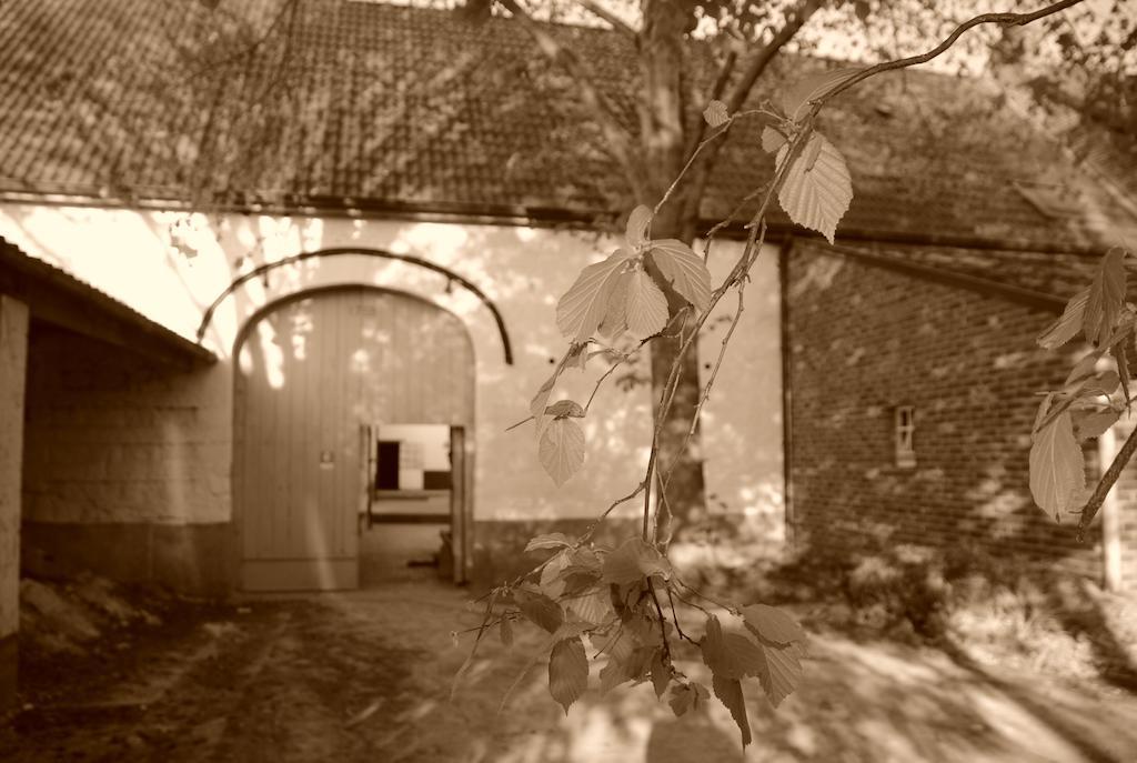 B&B De Oude Winning Римст Екстериор снимка